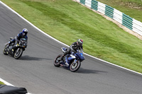 Lower Group Blue Bikes